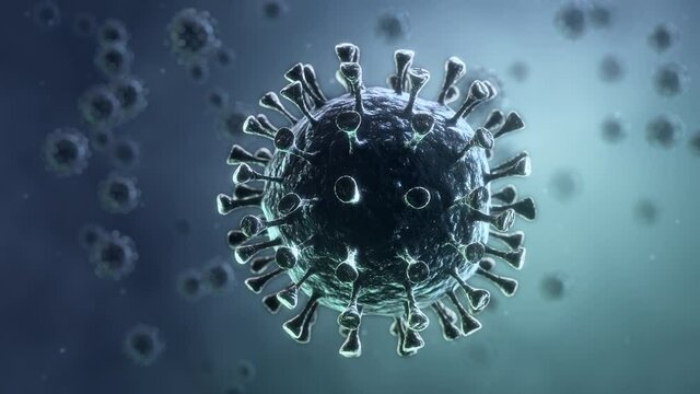 Coronavirus animation. New deadly disease-causing viruses such as COVID-19 or SARS (Severe acute respiratory syndrome). Virus in a microscope close up. 3D rendering. Seamless loop. 4K