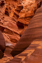 The Sandstone Walls in Owl Canyon