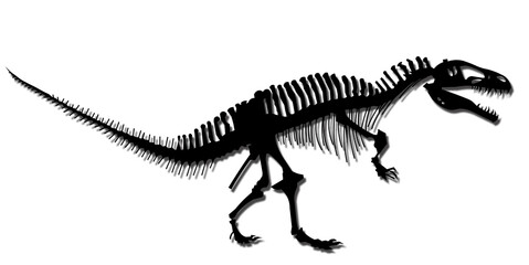 50 ティラノサウルス 骨格 イラスト