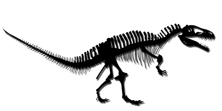 恐竜 トカゲ 動物 孤立した レプタイル 白 骨格 ドラゴン 緑 おもちゃ 生き物 ディーノ 化石 野生生物 先史時代の モンスター T Rex 古代の 自然 捕食者 尾 イラスト 古い 骨 ティラノザウルス 肉食 ダイナソー シルエット イラスト素材