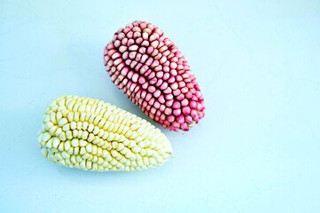 Yellow and red corns on a table
