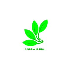 logo design.
Green leaf logo for business