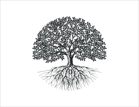 Tree and roots vector silhouette in circle shape