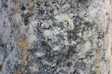 rough irregular surface of white and gray rock from a column with abstract shapes and - background texture of a stone