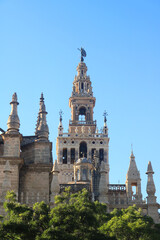 Fototapeta na wymiar Giralda, bell tower of the cathedral of Sevilla with a clear blue sky in the background and some trees - vertical postcard