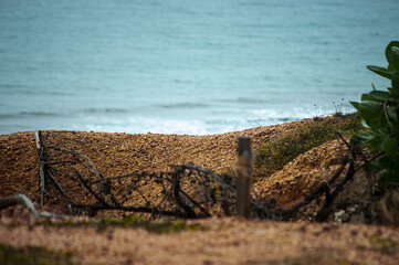 Farm, Beach, Nature, Animals, Flora, Fauna, Street Art, Boats and etc