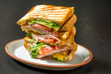 ホットサンドウィッチ　 hot sandwich