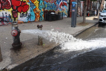 Open fire hydrant spraying water on city street