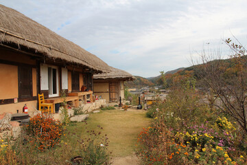 Fototapeta na wymiar Front yard of traditional Korean cottage with the garden at Gyeongju Yangdong Folk Village, South Korea