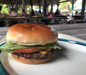 Cheeseburger in paradise at a tropical picnic