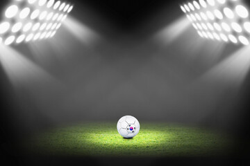 South Korea ball on the soccer field