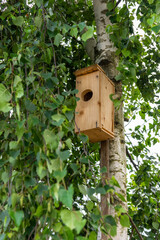 Wooden birdhouse on a green birch in the Park.