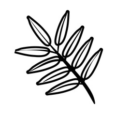 branch with leafs line style icon