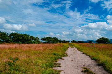 Camino de tierra