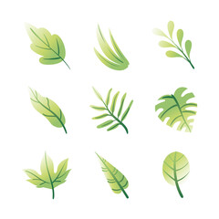 bundle of leafs plants set icons