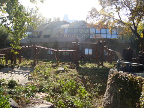 Beijing Zoo, China. Panda Area.