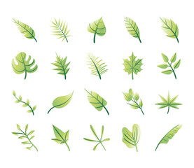 bundle of leafs plants set icons