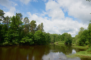Summer forest river reflection landscape. Forest river reflection view. Forest river landscape. Green forest river view