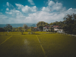 Fototapeta premium village natural landscape