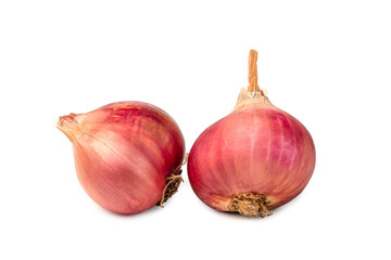 Raw Shallot onion (Allium ascalonicum) isolated on white background