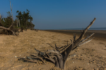 peace of wood on sea beach