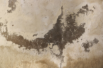 old beige wall painted and chipped with the shape of a map - rough texture contrast for a background	