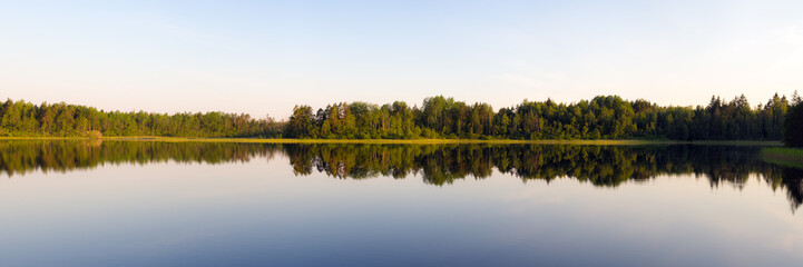 Fototapeta na wymiar forest lake in summer day