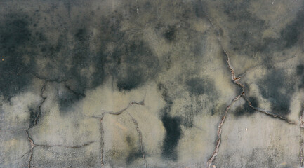 texture of wet concrete wall with green humidity blurred marks - moisture backgrounud surface for a...