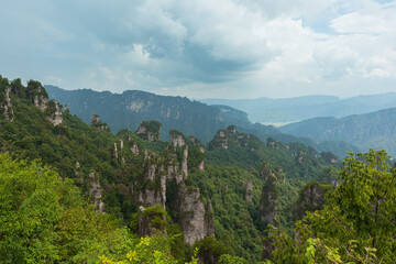 Fototapeta na wymiar A natural backdrop of green, mist-shrouded Zhangjiajie National Forest Park in China.