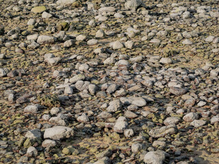 stone ground floor surface background for texture