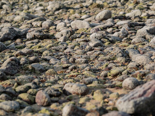 stone ground floor surface background for texture