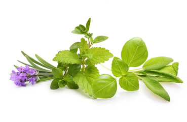 Fresh spices and herbs isolated