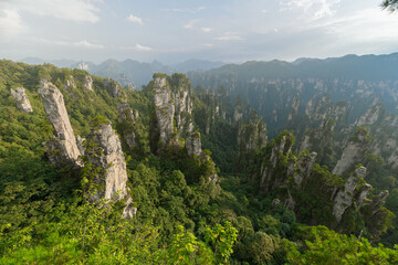 Green nature background, beautiful China Zhangjiajie National Forest Park.