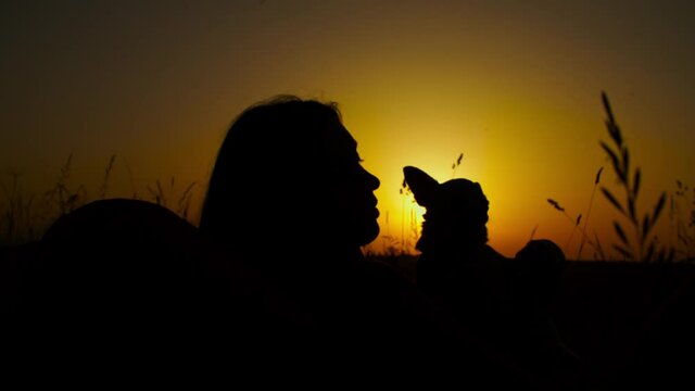 Caring affectionate long hair woman with shorthair apple head chihuahua dog sitting on beanbag, enjoying summer nature and relaxing during vacations in countryside, silhouetted by sunsetting sky,
