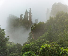 A natural backdrop of green, mist-shrouded Zhangjiajie National Forest Park in China.