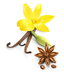 Naklejka na ściany i meble Vanilla pods, star anise seed and orchid flower isolated