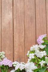 White flowers on a wooden brown background. Template with place for text. Frame of flowers. Petals of wildflowers.