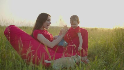 Playful carefree pretty mother seated on beanbag chair on meadow having fun, tickling laughing adorable baby daughter while joyful family enjoying leisure together with pet in summer nature.