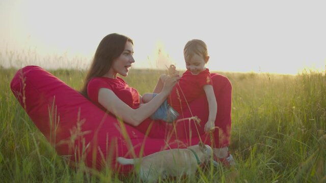 Playful carefree pretty mother seated on beanbag chair on meadow having fun, tickling laughing adorable baby daughter while joyful family enjoying leisure together with pet in summer nature.