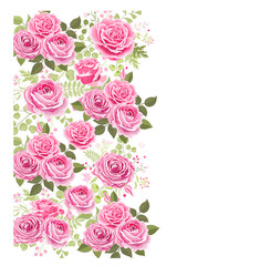 Seamless pattern with pink roses.