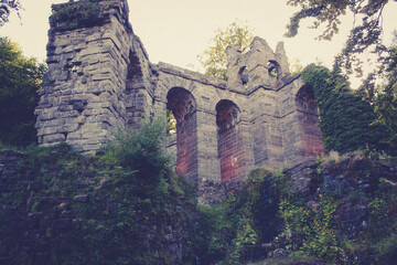 ruins of the castle