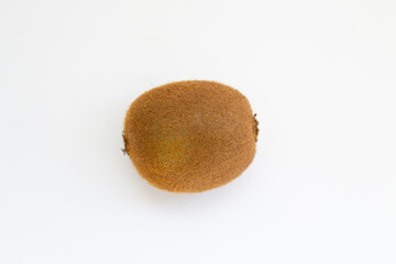 kiwi on a white background