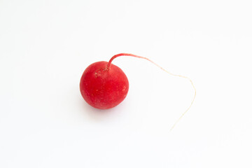 ripe radish on a white background