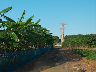 Okinawa,Japan-June 23, 2020: Approach Lighting System of Miyako Airport built in sugar cane field at Miyakojima island, Okinawa, Japan

