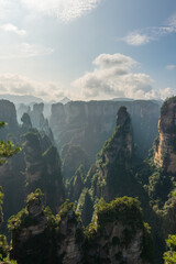 Fototapeta premium Green nature, the magical natural scenery of China's Zhangjiajie National Forest Park.