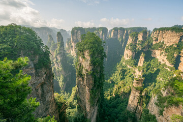 Fototapeta premium Asian tourist attraction, traveling in China Zhangjiajie National Forest Park.