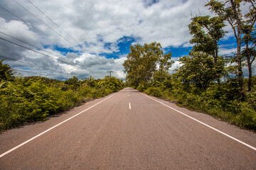 The natural background of green rice paddies and large trees surrounded by cool breezes, seen in rural tourist attractions.