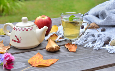 cup of tea  on a wooden table in gardenwith teapot  among autumnal  leaf and red apple on wool scarf