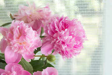 Pink peonies in vase on the table. country still life © Veronika Kiriushina