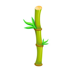 Fototapeta premium Bamboo vector icon.Cartoon vector icon isolated on white background bamboo.